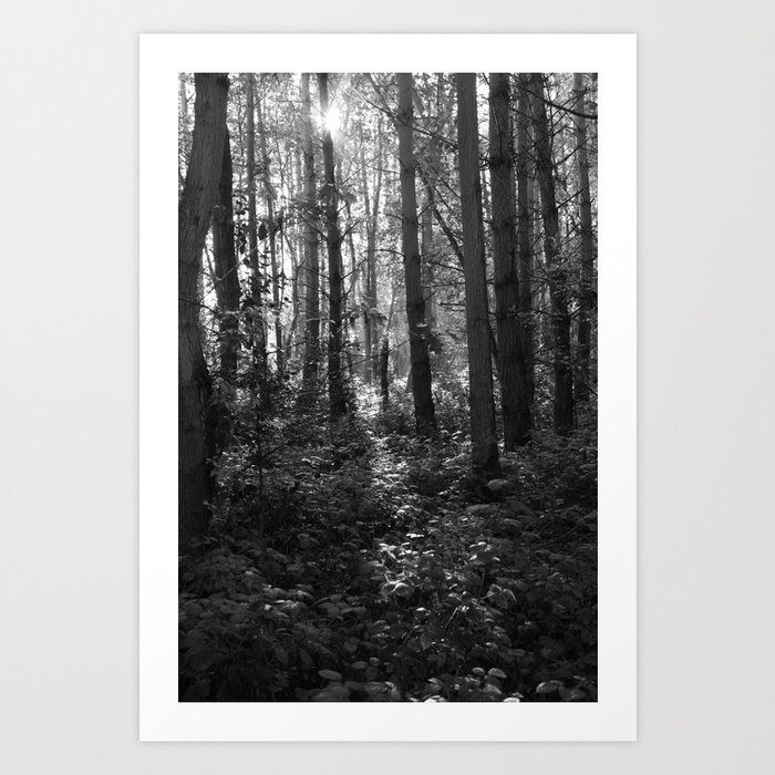 The Forest  Art Print