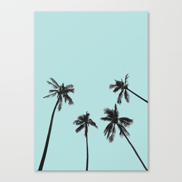 Palm trees 5 Canvas Print