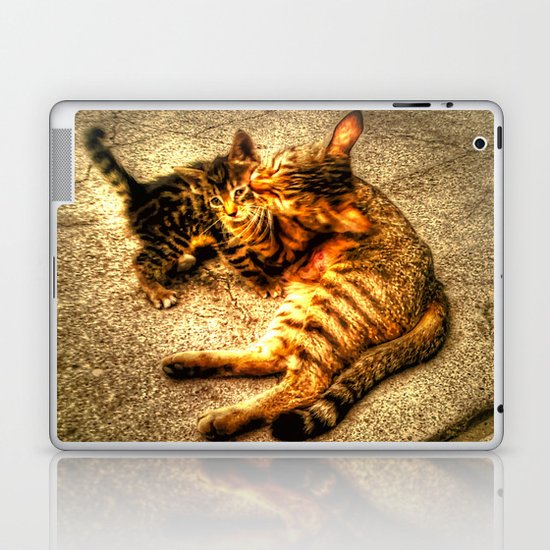 Cats Laptop & iPad Skin