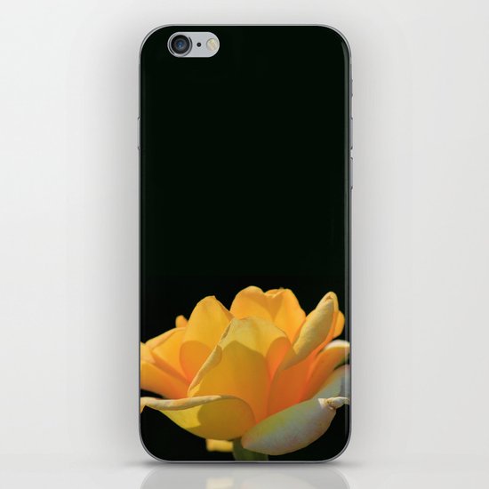 Yellow rose iPhone & iPod Skin