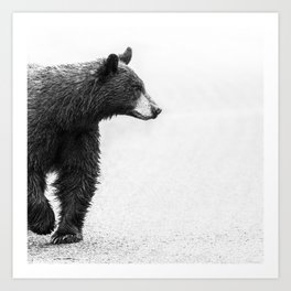 Bear Crossing - Black and White Wildlife Photography Art Print