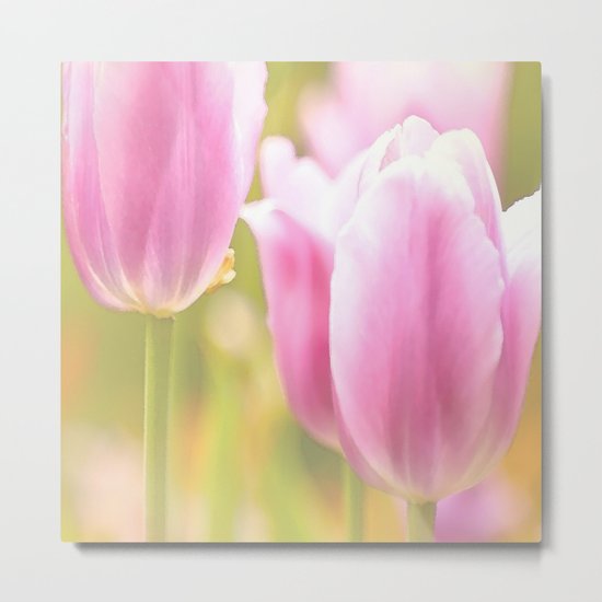 Spring is here with wonderful colors - close-up of tulips flowers Metal Print