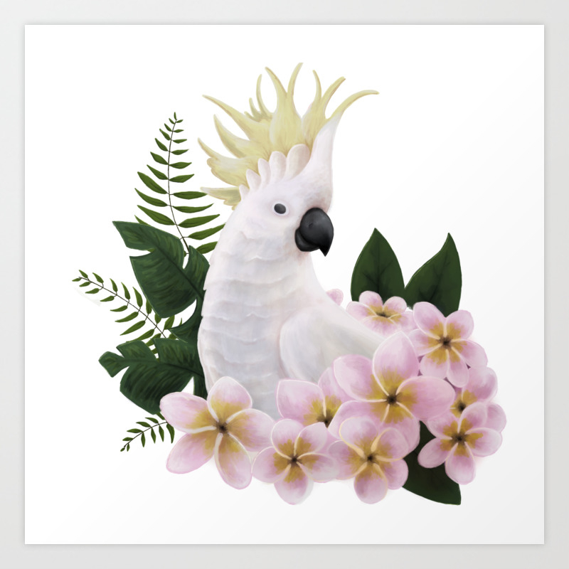 Sulphur Crested Cockatoo Art Print By Tacky Frog Society6