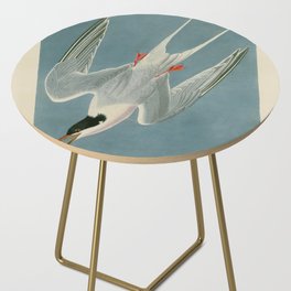 Roseate Tern - John James Audubon Birds of America Side Table