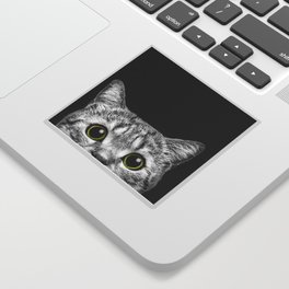 Curious Cat Peeking, Sneaky Kitty, Kitty Photography, Cat, Cats Sticker