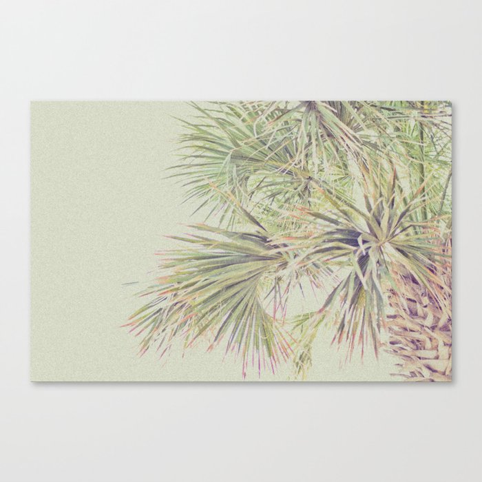 Green Palm Canvas Print