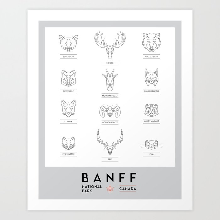 Banff National Park Animals Art Print