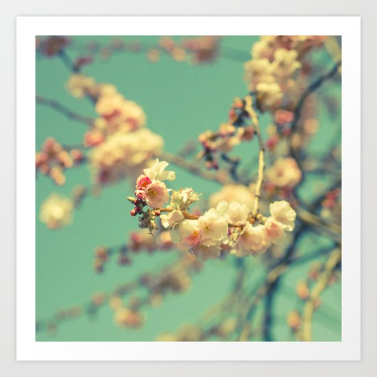 Pink blue blossom Art Print