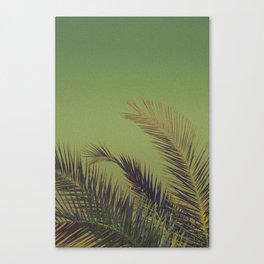 Tropical paradise Canvas Print