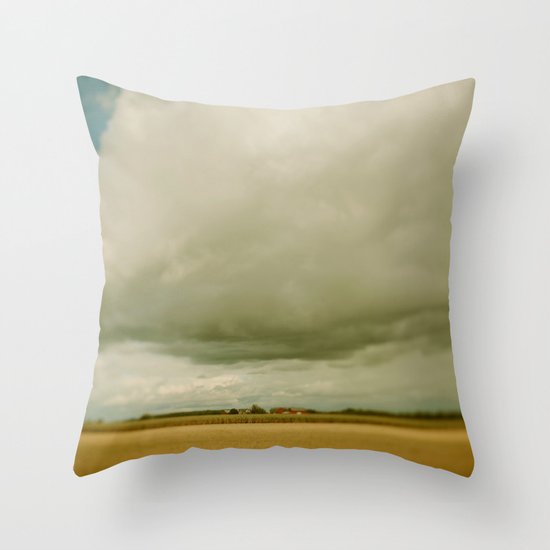 Flatlands Throw Pillow