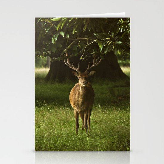Deer Stationery Cards