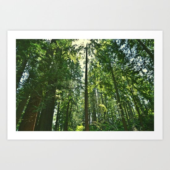 i want to be on the tops of all the trees Art Print