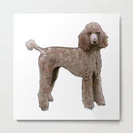 Royal Standard Poodle dog Metal Print | Dog, Poodle, Design, Decor, Designart, Puppies, Drawing, Home, Homedecor, Framedart 