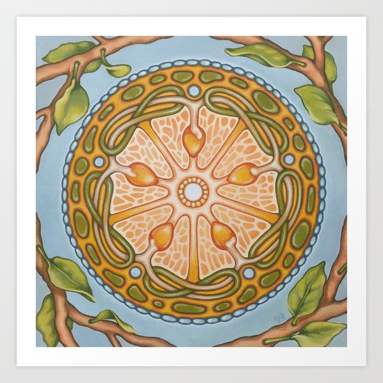 Seeds of Summer Art Print
