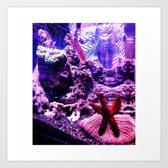 fish life Art Print