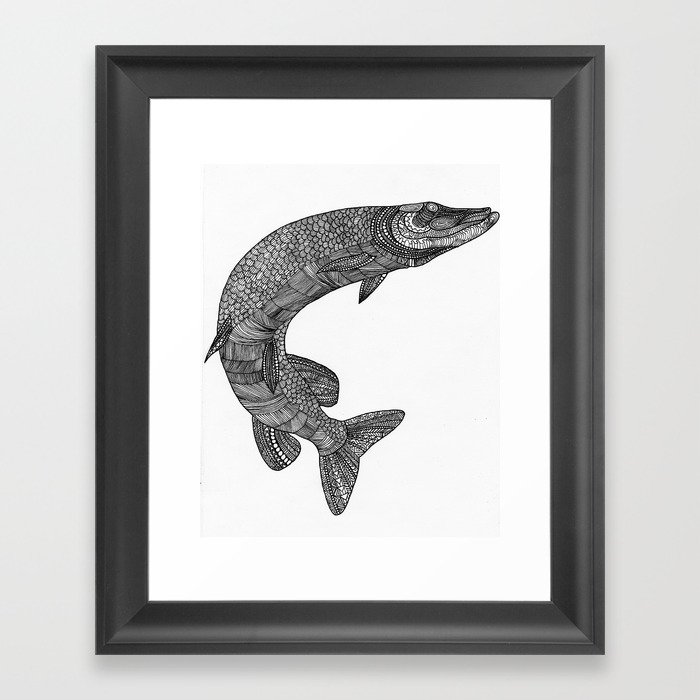 Northern pike - Esox lucius Framed Art Print