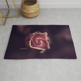 the rose - flower photography - pink rose - floral Rug