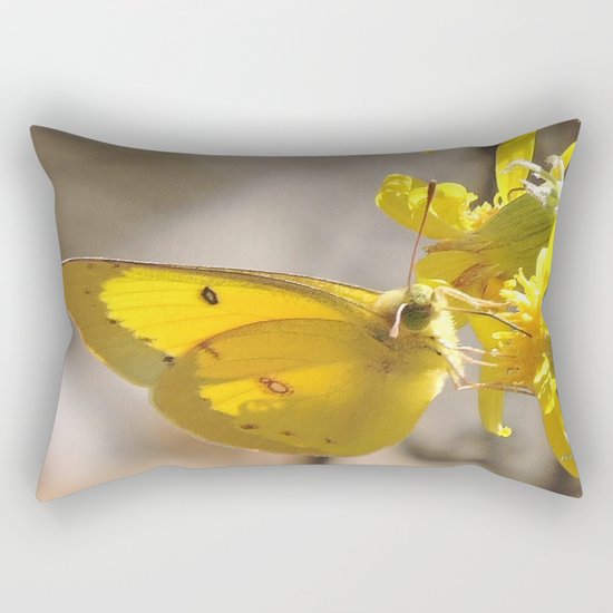 Sulphur Butterfly Imbibing Rectangular Pillow