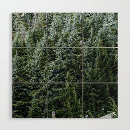 Mountain Mis // Dark Blue and Green Forest of Evergreen Pines Moody Lumberjack Dream Wood Wall Art | Nature Sunset Decor, Colorado University, Sun Rise Set Sunset, Woods Photography, Q0 Autumn Rustic, Outdoors Travel Sky, Country Of Woodlands, The Photo Pictures, Vintage Wild Animals, Mountain Mountains 