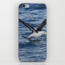Argentina Photography - Black-browed Albatross Flying Close To The Water iPhone Skin