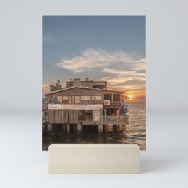 CedarKey3 Mini Art Print