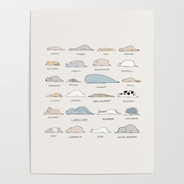 The Moody Animals (Colours) Poster