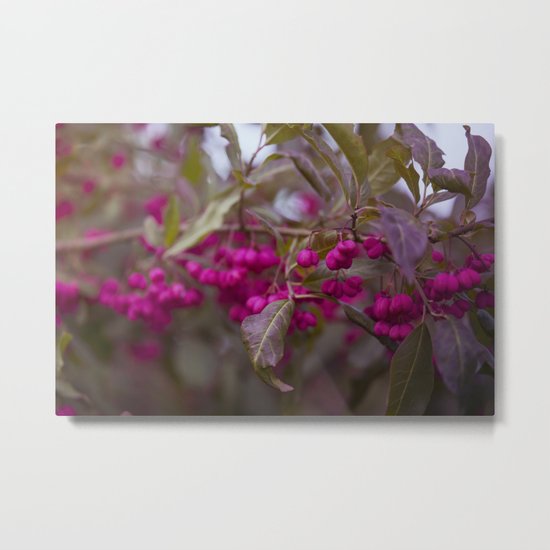 Fruits of Autumn in bold pink Metal Print