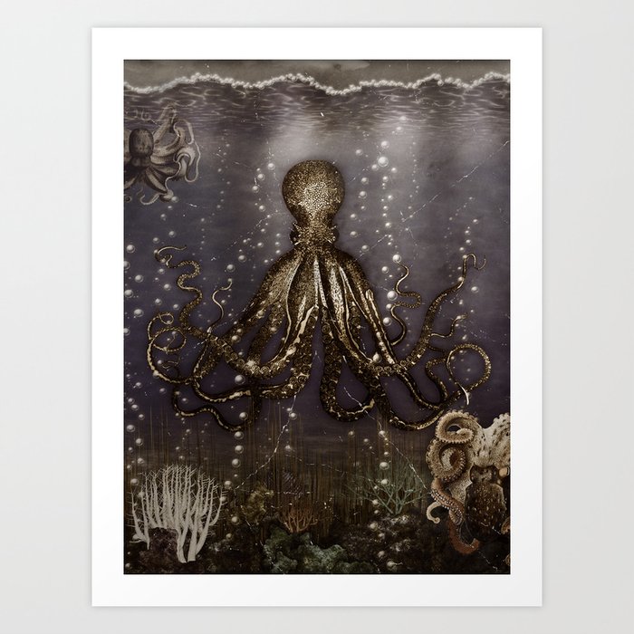 Octopus' lair - Old Photo Art Print