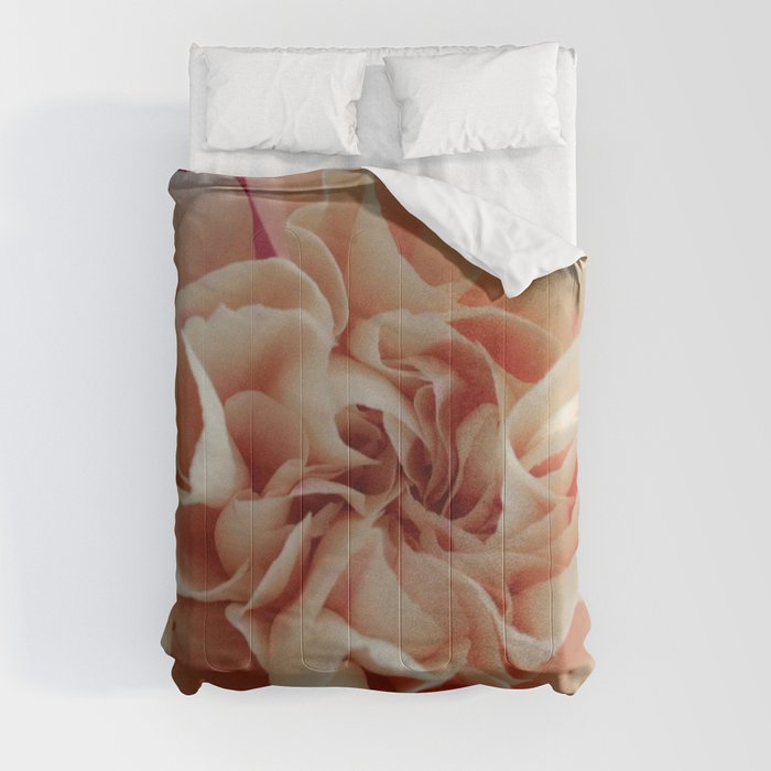 Clove pink 3 Comforter