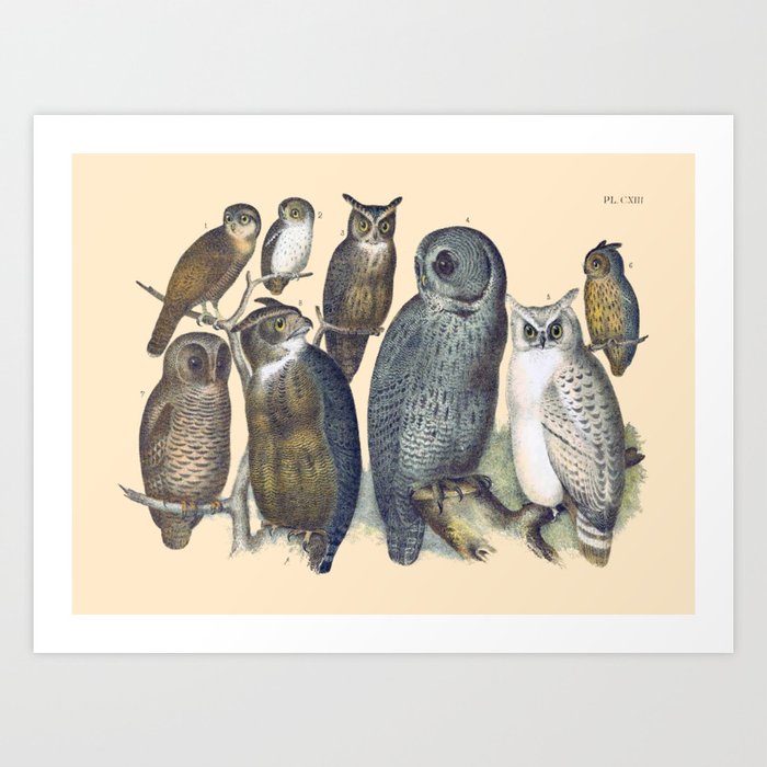 Art Print