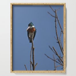 Amazon Kingfisher | Bird art print | Mexico | Wildlife photography Serving Tray