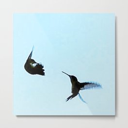 "Friends In Flight" Photography By Hope Metal Print
