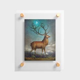 King of the Night Floating Acrylic Print