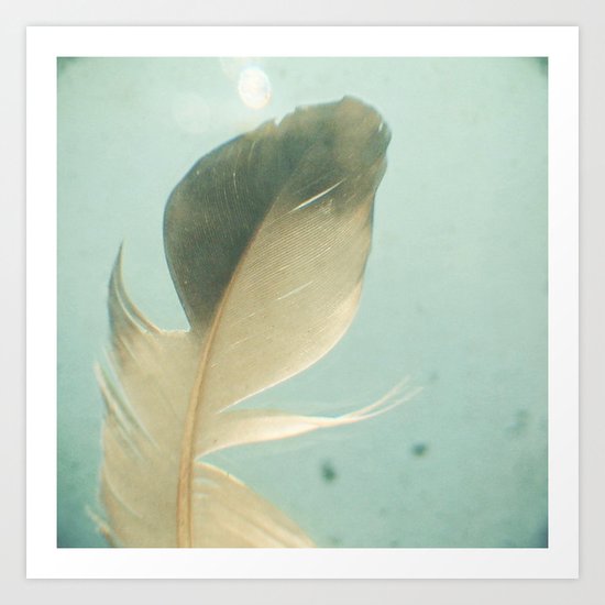 Grey Feather Art Print