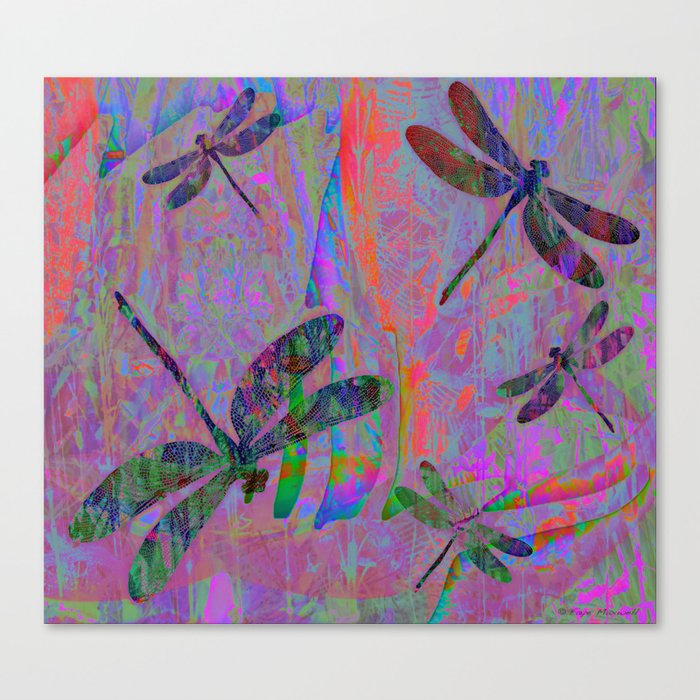Dragonfly Opal Canvas Print