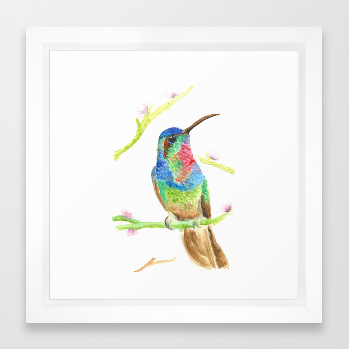 Hummingbird Framed Art Print By Floracurci Society6