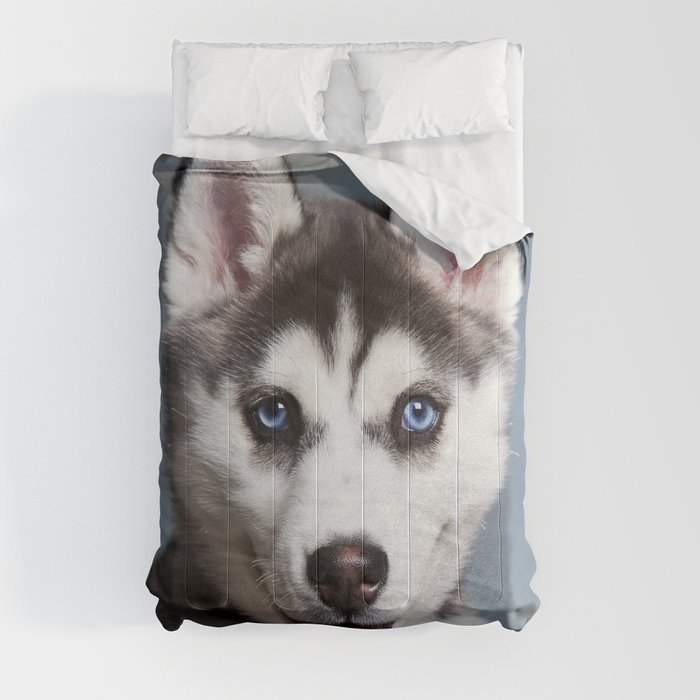 Husky comforter outlet