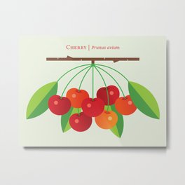 Fruit: Cherry Metal Print | Modern, Cherrycute, Natureseries, Cherrybranch, Fruit, Botanical, Fruitposter, Cherries, Minimalist, Graphicdesign 