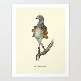 Pigeon 2 Art Print