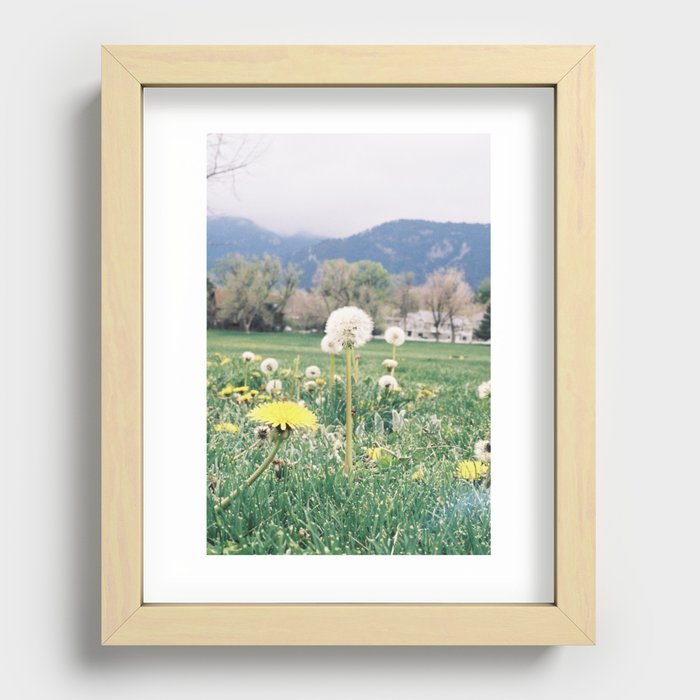 dandelions & mountains Recessed Framed Print