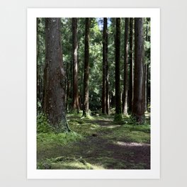 Floresta Terceira Art Print