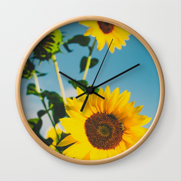 Sunflower State of Mind | Kamloops, BC  Wall Clock