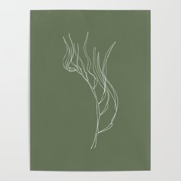 Kelp illustration 2 Poster
