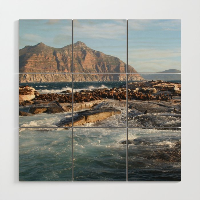 South Africa Photography - Ocean Waves Hitting The Rocks Wood Wall Art
