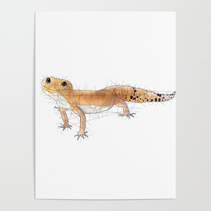 Pumpkin Leopard Gecko Poster
