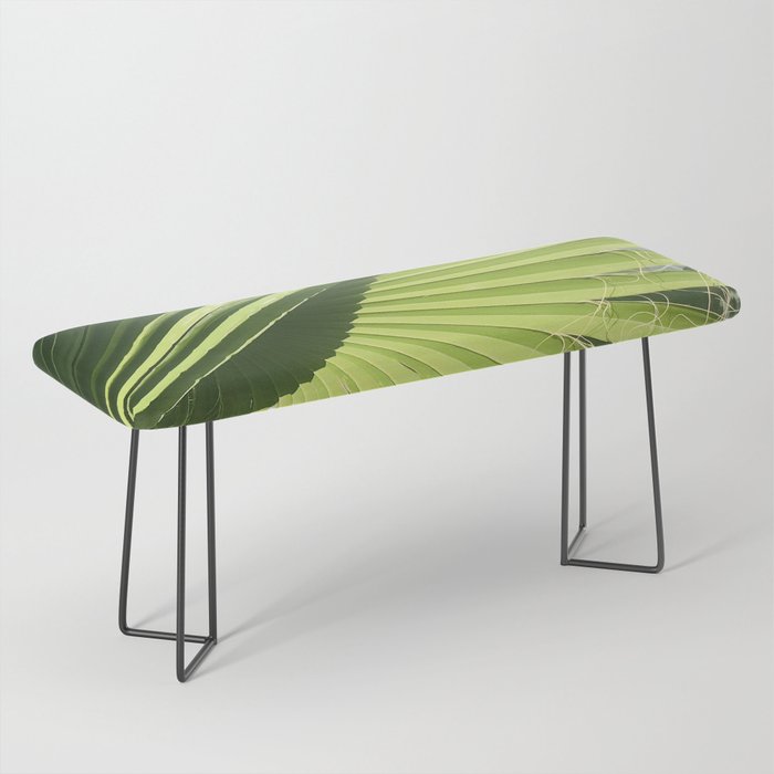 Sultry Tropical Palm Leaves Fine Art Photo  Bench