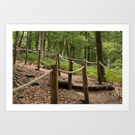 forest stair nature photography  Art Print