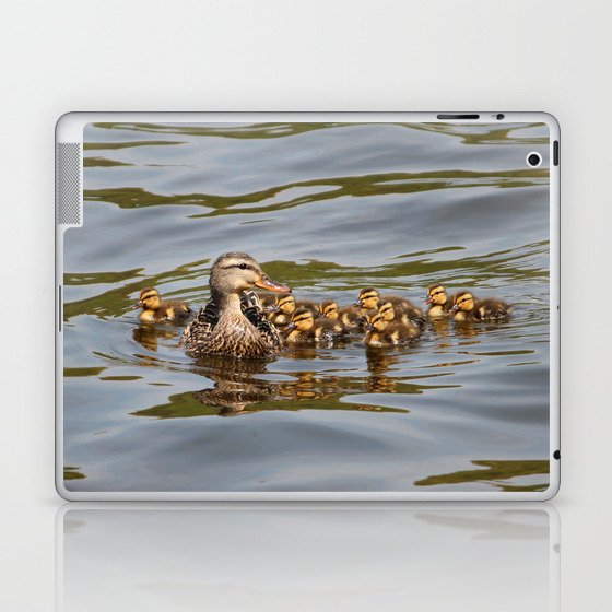 Mallard duck and ducklings Laptop & iPad Skin