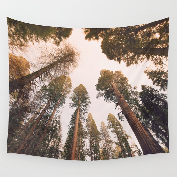 Sequoia Sunset Wall Tapestry
