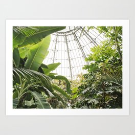 Tropical Greenhouse #1 Art Print